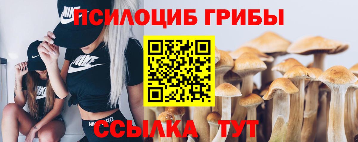 Галлюциногенные грибы мицелий Кубинка